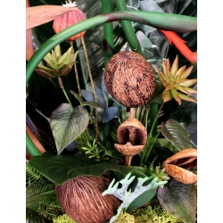 Kompozycja PREMIUM STRELICJE gumowe LUX w złotej osłonce